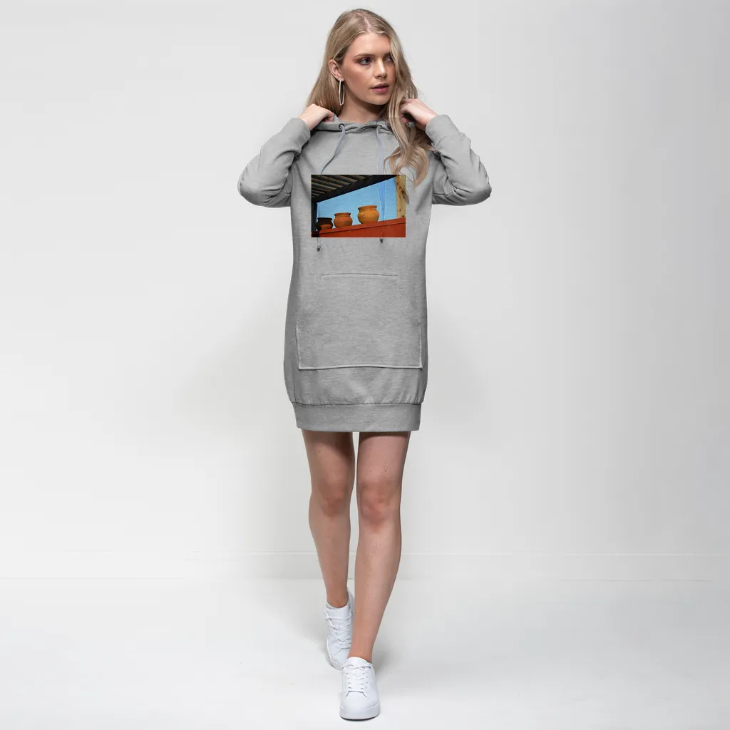 DecorativeVases2 Premium Adult Hoodie Dress