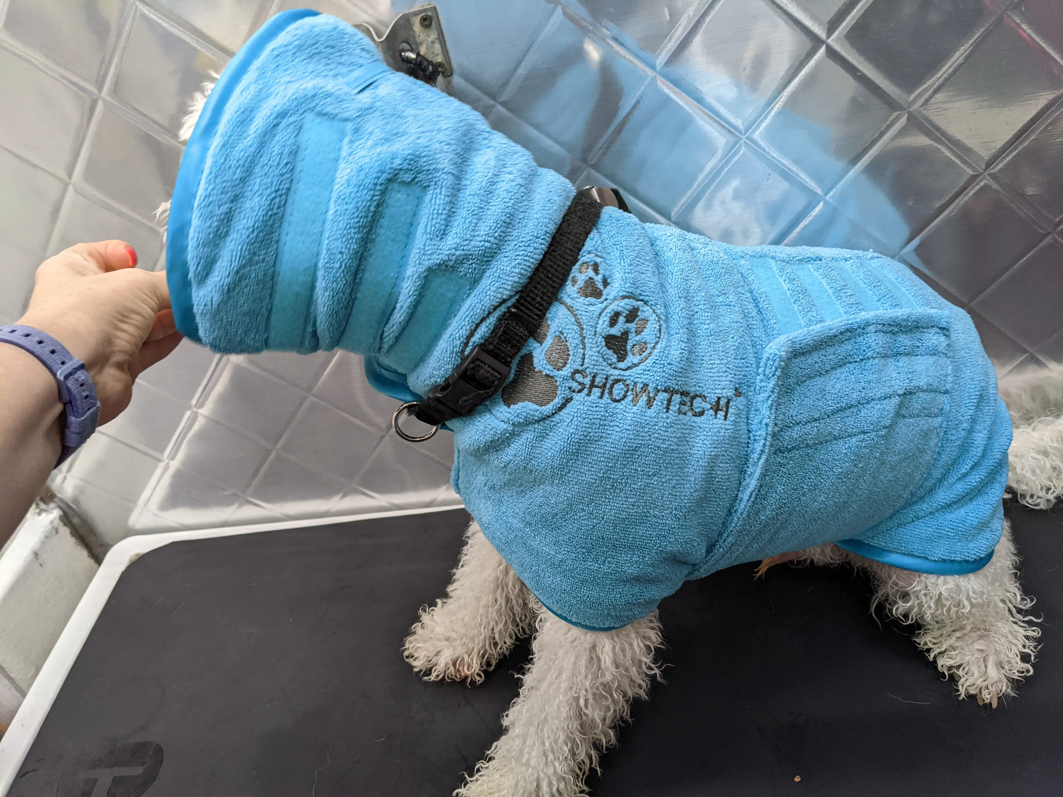 Show Tech Active Coat -Turquoise